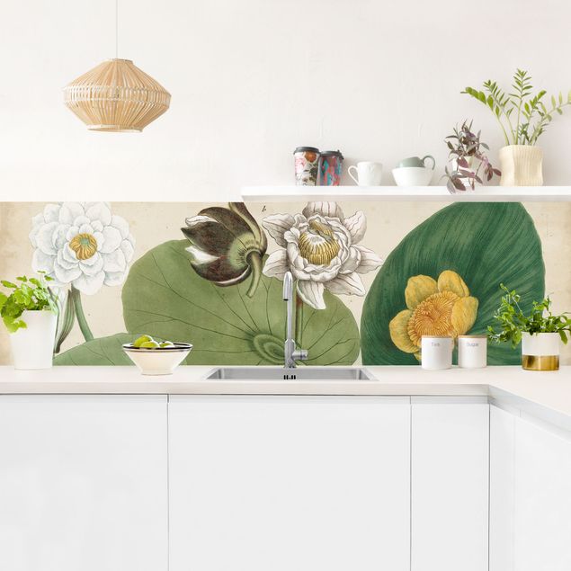 Achterwand in keuken Vintage Board White Water-Lily