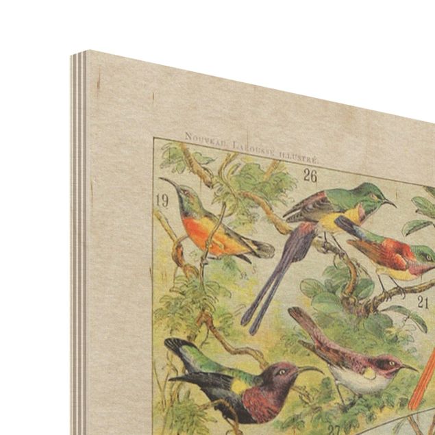 Houten schilderijen Vintage Board Birds Of Paradise