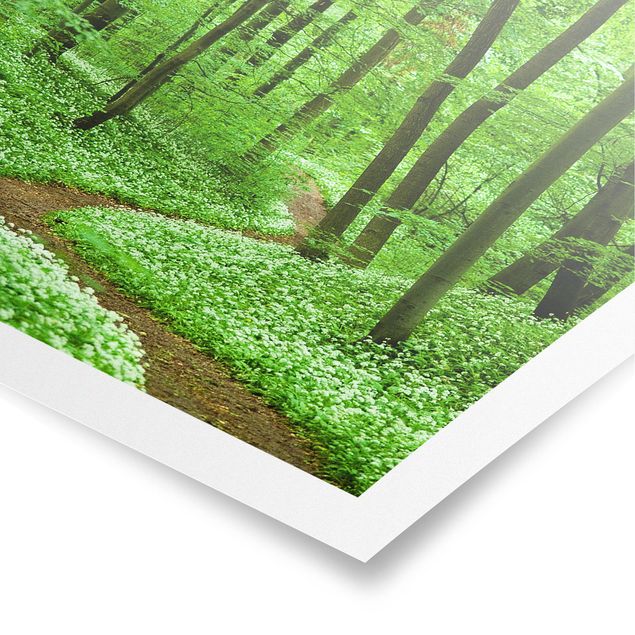Posters Romantic Forest Track