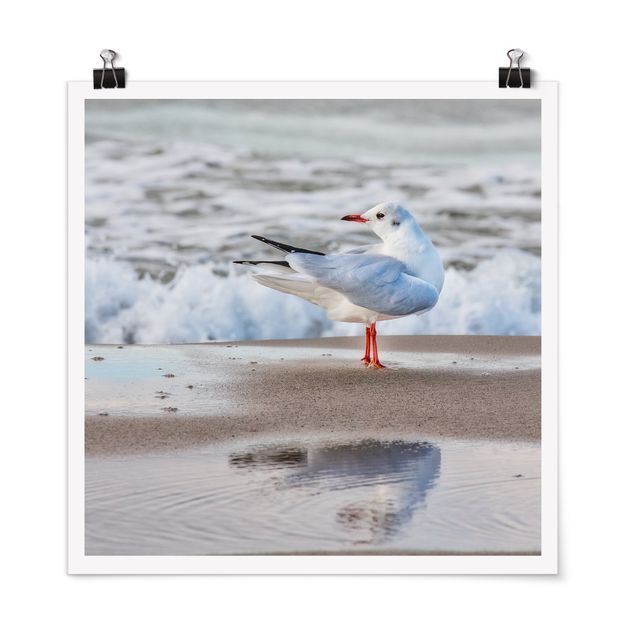 Posters Seagull On The Beach In Front Of The Sea