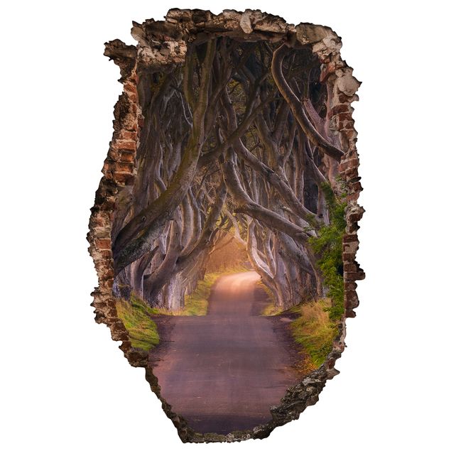 Muurstickers Tunnel Of Trees