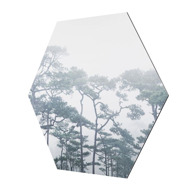 Hexagons Aluminium Dibond schilderijen Treetops In Fog