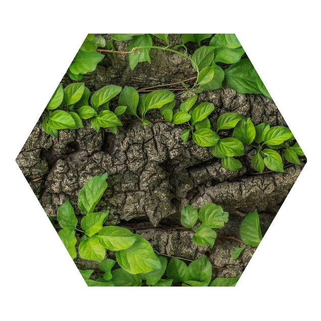 Hexagons houten schilderijen Ivy Tendrils Tree Bark