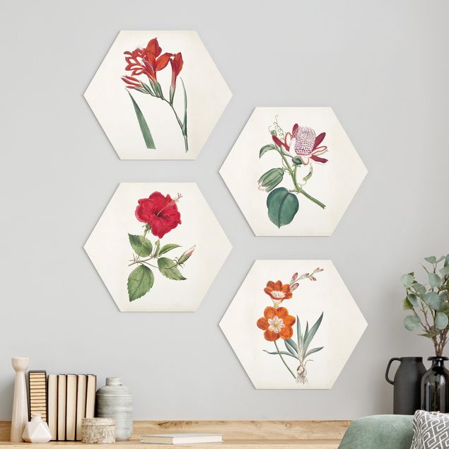 Hexagons Aluminium Dibond schilderijen - 4-delig Garden Beauty Set III