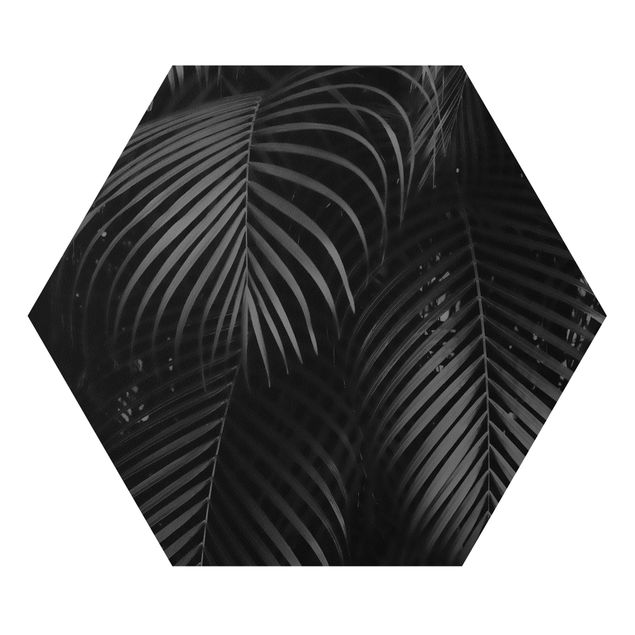 Hexagons Forex schilderijen Black Palm Fronds