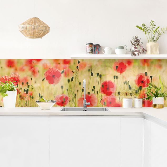 Achterwand voor keuken Summer Poppies