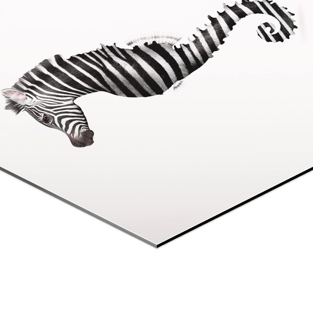 Hexagons Aluminium Dibond schilderijen Seahorse With Zebra Stripes