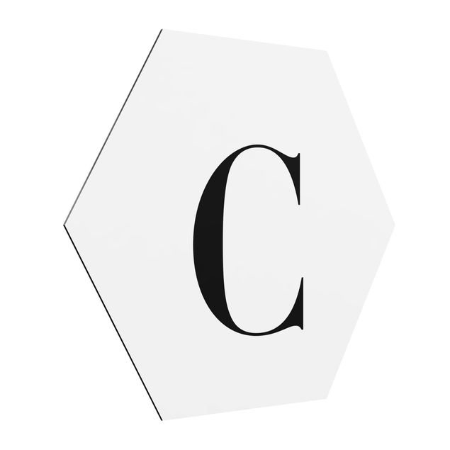 Hexagons Aluminium Dibond schilderijen Letter Serif White C