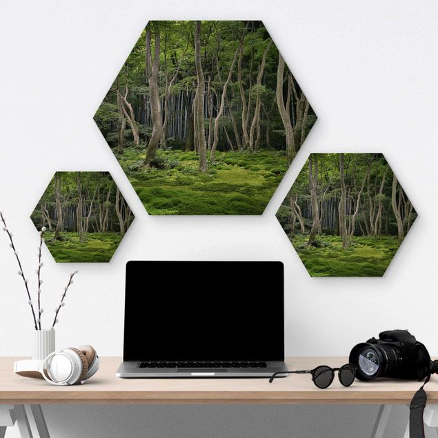 Hexagons houten schilderijen Japanese Forest