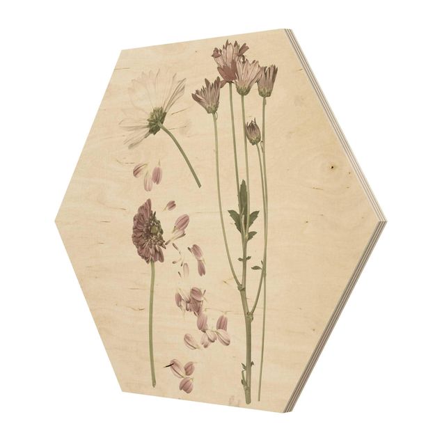 Hexagons houten schilderijen Herbarium In Pink II