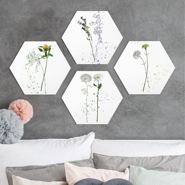 Hexagons Forex schilderijen - 4-delig Botanical Watercolour Set I