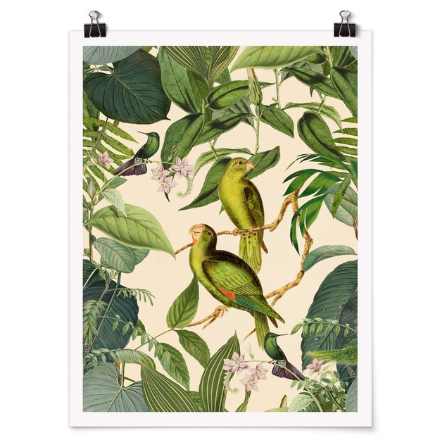 Posters Vintage Collage - Parrots In The Jungle