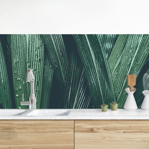 Achterwand voor keuken bloemen Green Palm Leaves