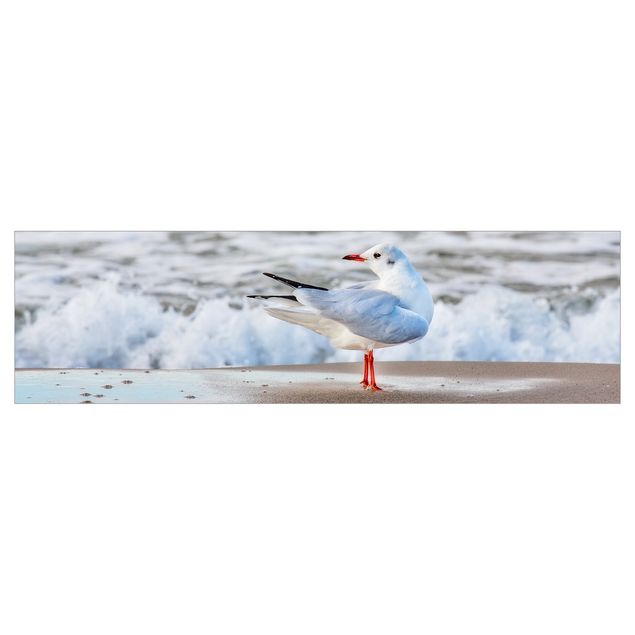 Keukenachterwanden Seagull On The Beach In Front Of The Sea