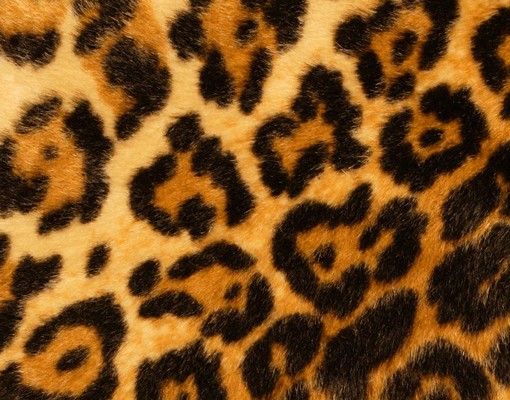 Brievenbussen Jaguar Skin