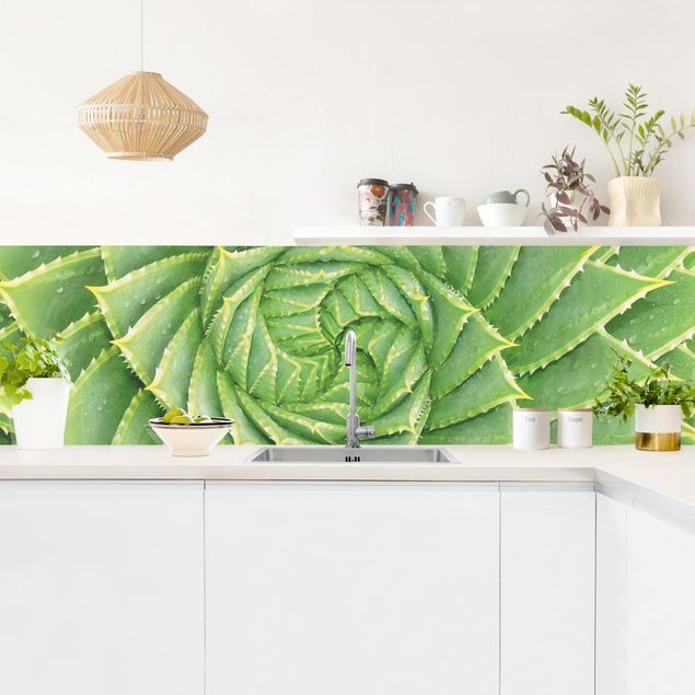 Achterwand voor keuken patroon Spiral Aloe