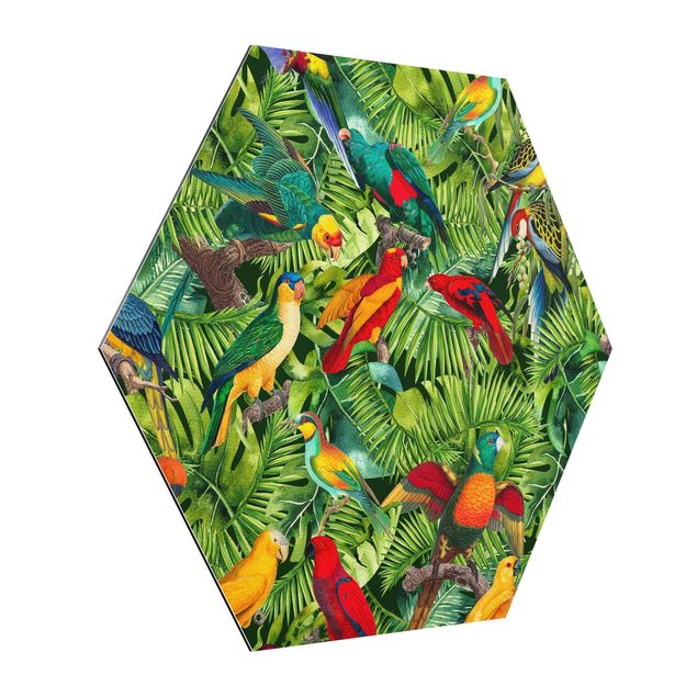Hexagons Aluminium Dibond schilderijen Colourful Collage - Parrots In The Jungle