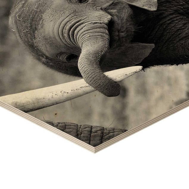 Hexagons houten schilderijen Baby Elephant