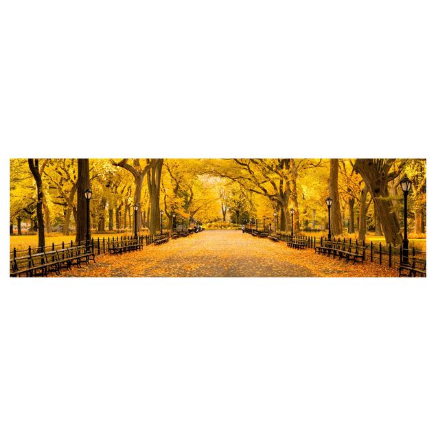 Keukenachterwanden Autumn In Central Park