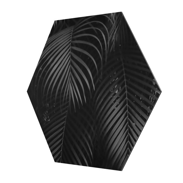 Hexagons Aluminium Dibond schilderijen Black Palm Fronds