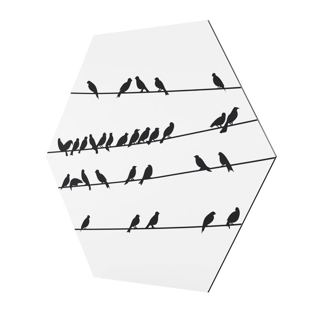 Hexagons Aluminium Dibond schilderijen Flock Of Birds