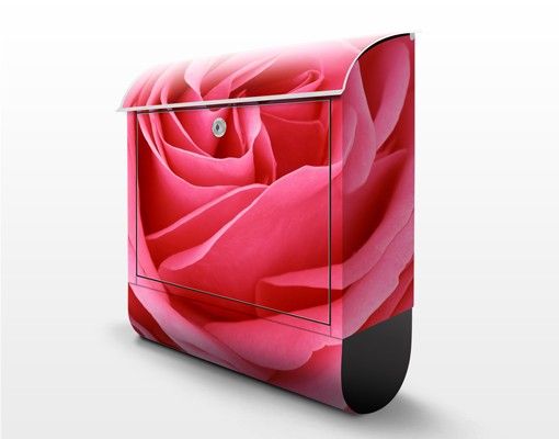 Brievenbussen Lustful Pink Rose