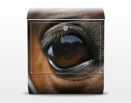 Brievenbussen Horse Eye