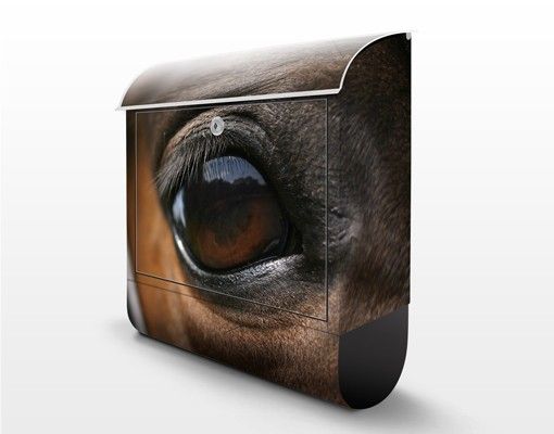 Brievenbussen Horse Eye