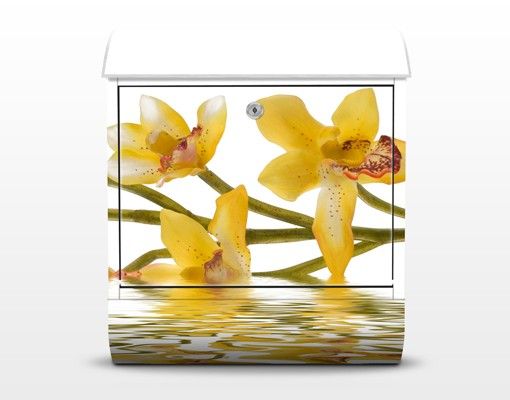 Brievenbussen Saffron Orchid Waters