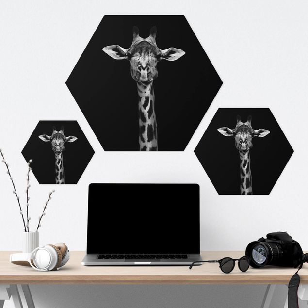 Hexagons Forex schilderijen Dark Giraffe Portrait