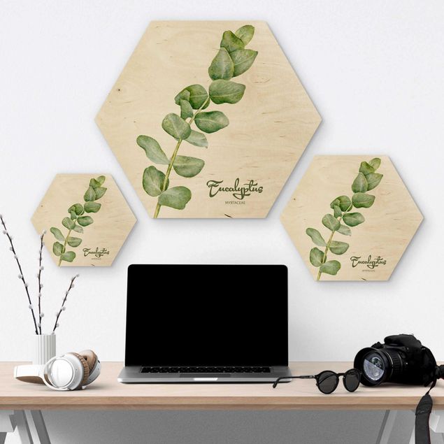 Hexagons houten schilderijen Watercolour Botany Eucalyptus