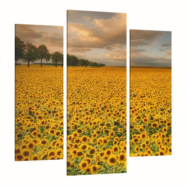 Canvas schilderijen - 3-delig Field With Sunflowers