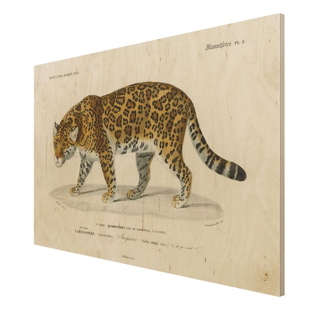 Houten schilderijen Vintage Board Jaguar