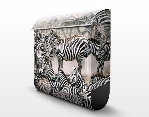 Brievenbussen Zebra Herd