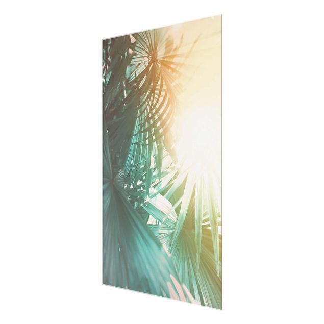 Glasschilderijen Tropical Plants Palm Trees At Sunset