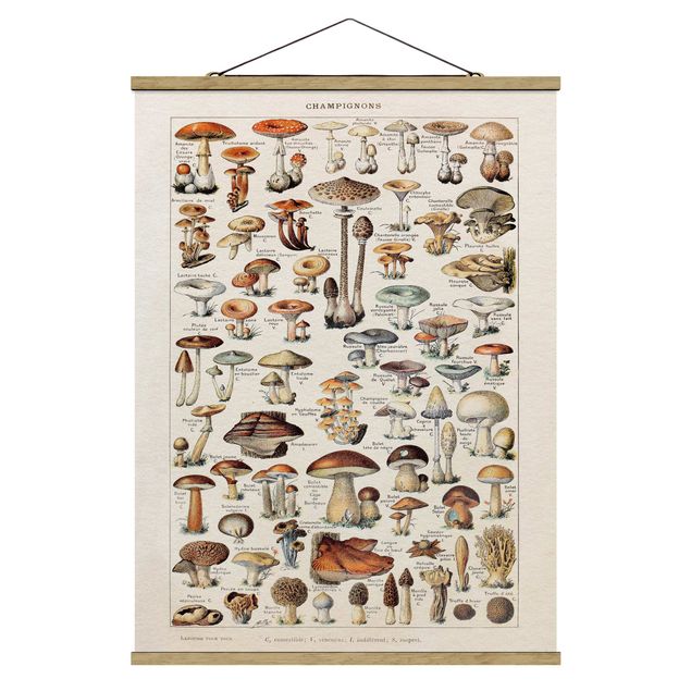 Stoffen schilderij met posterlijst Vintage Board Mushrooms