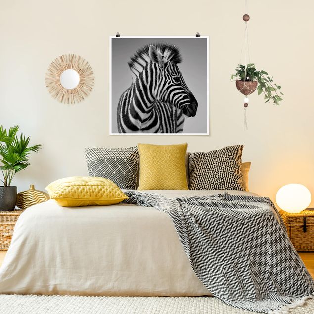 Posters Zebra Baby Portrait II