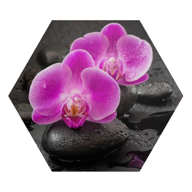 Hexagons Aluminium Dibond schilderijen Pink Orchid Flower On Stones With Drops