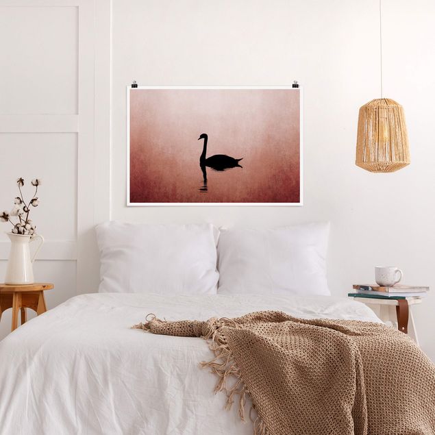 Posters Swan In Sunset