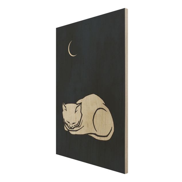Houten schilderijen Sleeping Cat Illustration