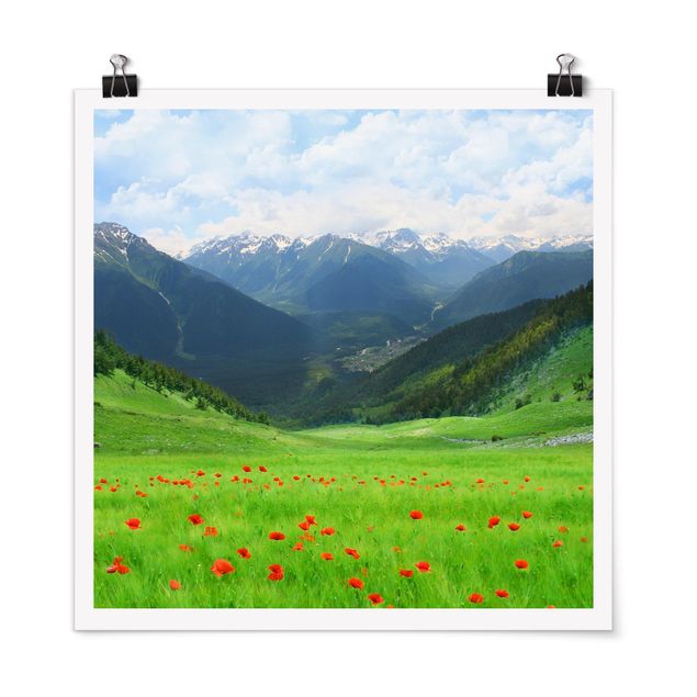 Posters Alpine Meadow