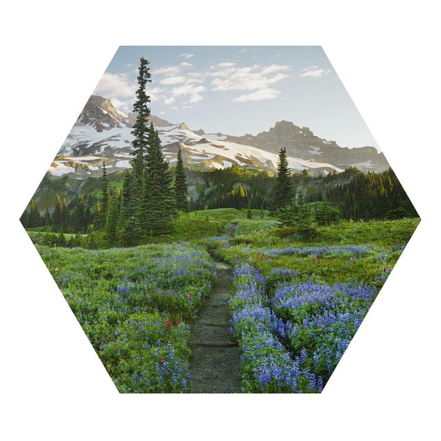 Hexagons Aluminium Dibond schilderijen Mountain View Meadow Path