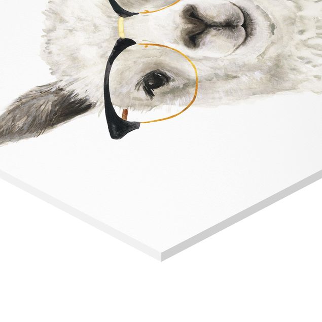Hexagons Forex schilderijen Hip Lama With Glasses I