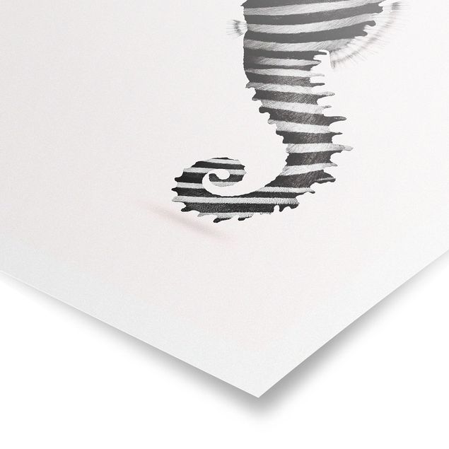 Posters Seahorse With Zebra Stripes