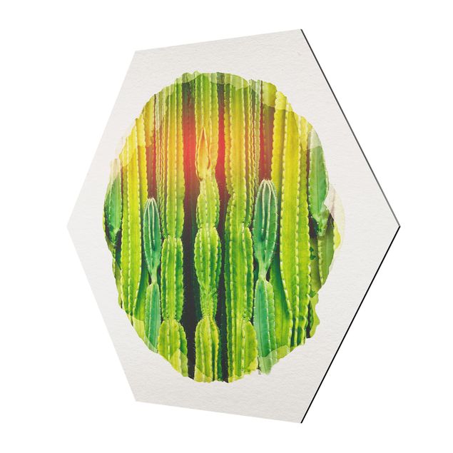 Hexagons Aluminium Dibond schilderijen WaterColours - Cactus Wall