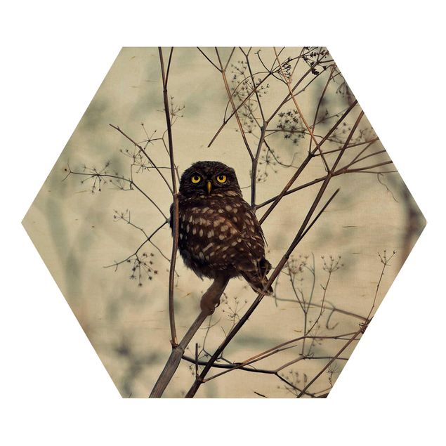Hexagons houten schilderijen Owl In The Winter