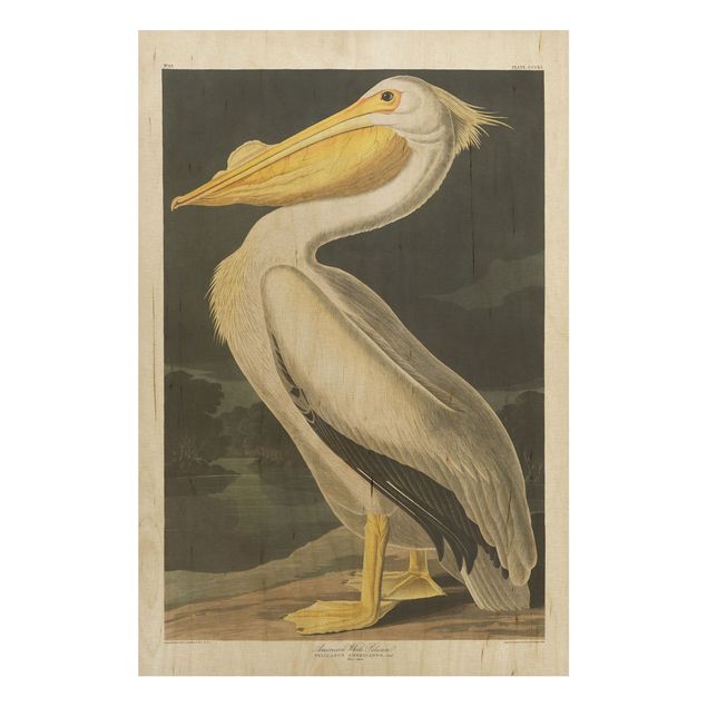 Houten schilderijen Vintage Board White Pelican