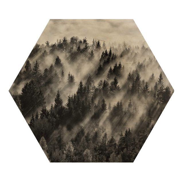 Hexagons houten schilderijen Light Rays In The Coniferous Forest