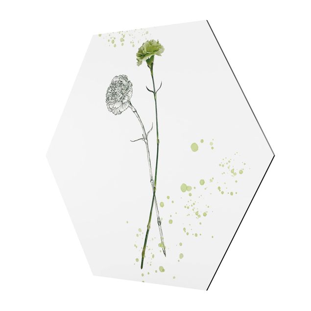 Hexagons Aluminium Dibond schilderijen Botanical Watercolour - Carnation