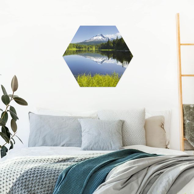 Hexagons Forex schilderijen Volcano With Water Reflection